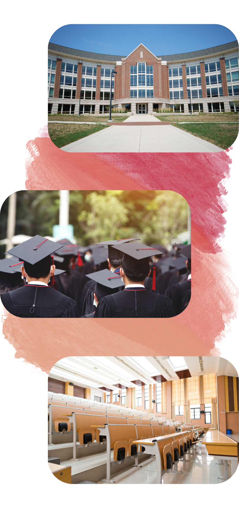 Vysokoškolské právo